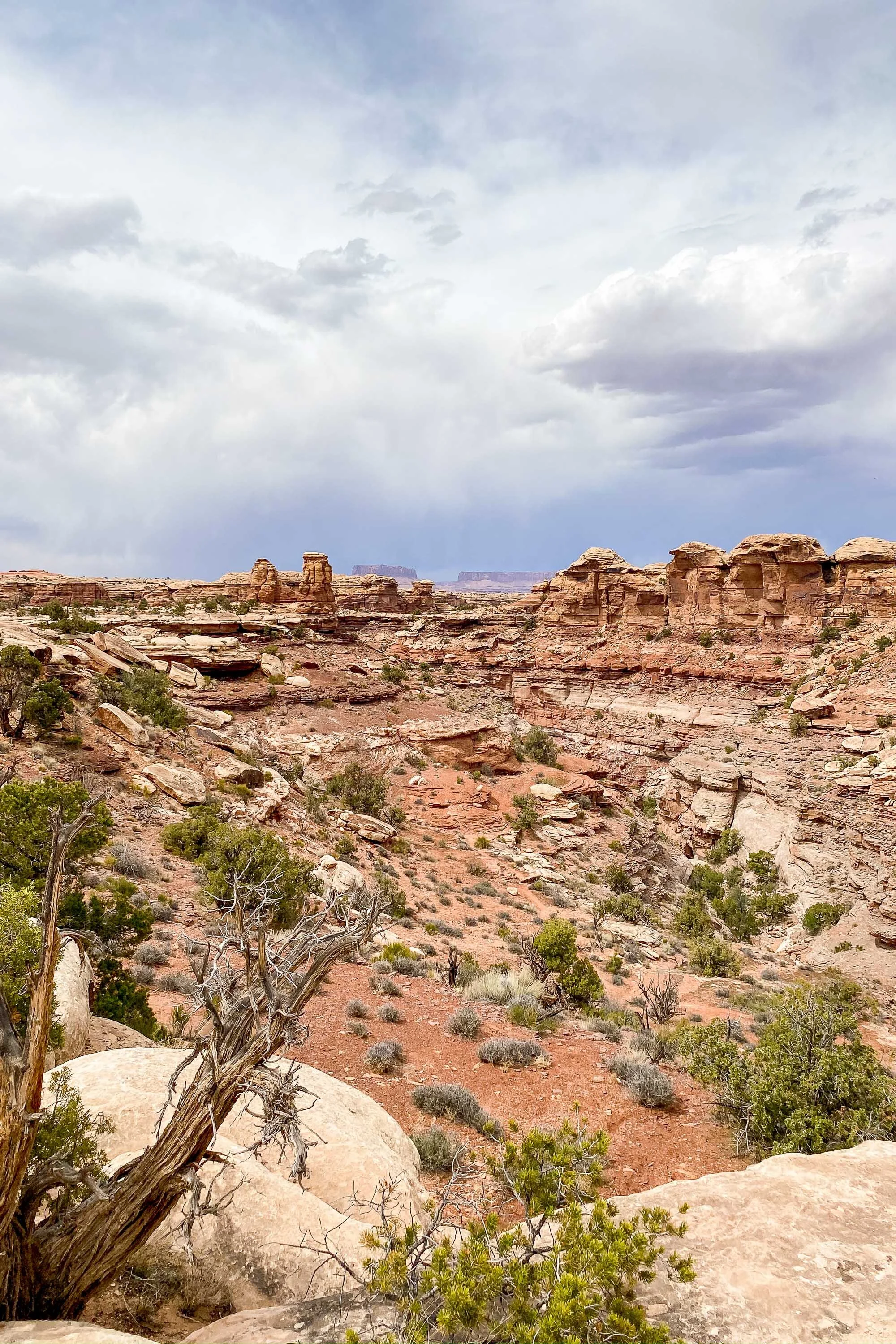 Where to Stop on a Road Trip Between Moab, Utah, and Cortez, Colorado